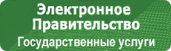 Электронное правительство
