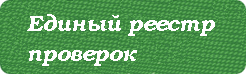 Единый реестр проверок